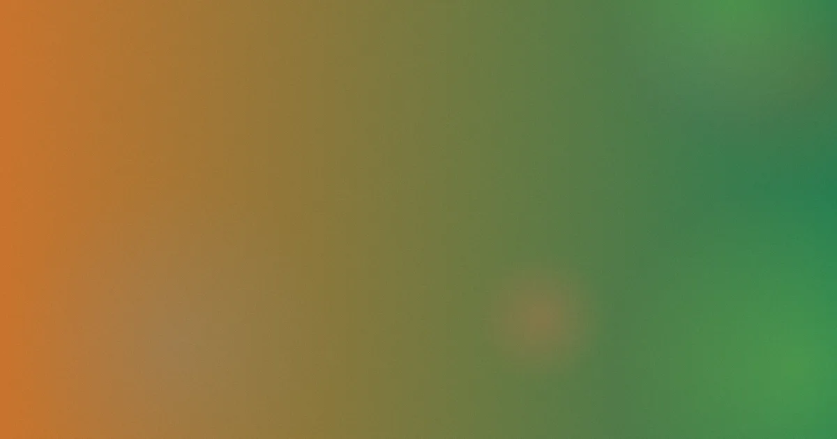 欧美禁片推荐：新手入门观看路线